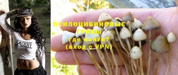 альфа пвп Алексеевка